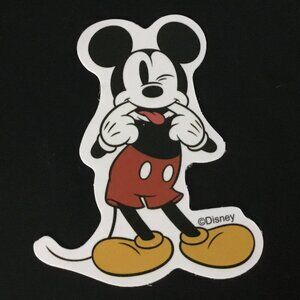 ⭐️7 for $10! Disney sticker Mickey Mouse